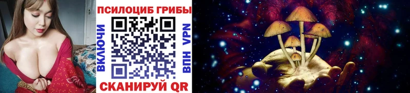 где продают наркотики  Соль-Илецк  Галлюциногенные грибы Psilocybine cubensis 