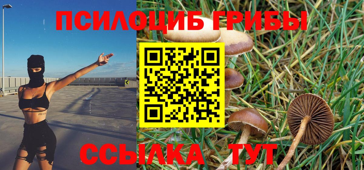 Галлюциногенные грибы Cubensis Соль-Илецк