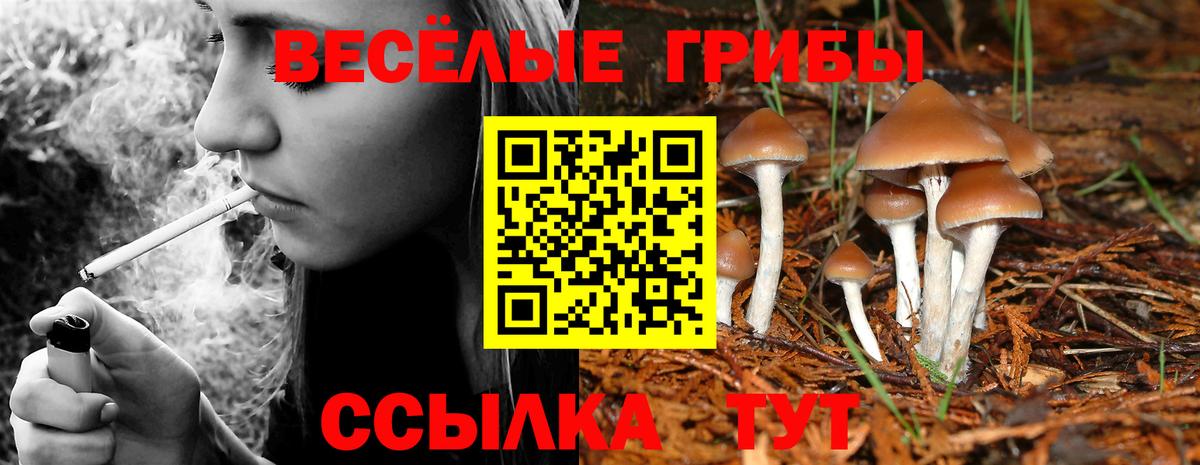 где можно купить   Псилоцибиновые грибы ЛСД  Вход с VPN  Соль-Илецк  Галлюциногенные грибы Psilocybine cubensis 